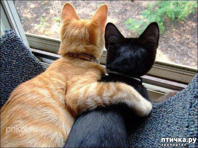 ���� 2: �����������: ����� �����!