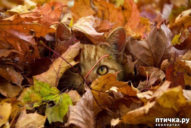 ���� 4: �����������: ����� �����!