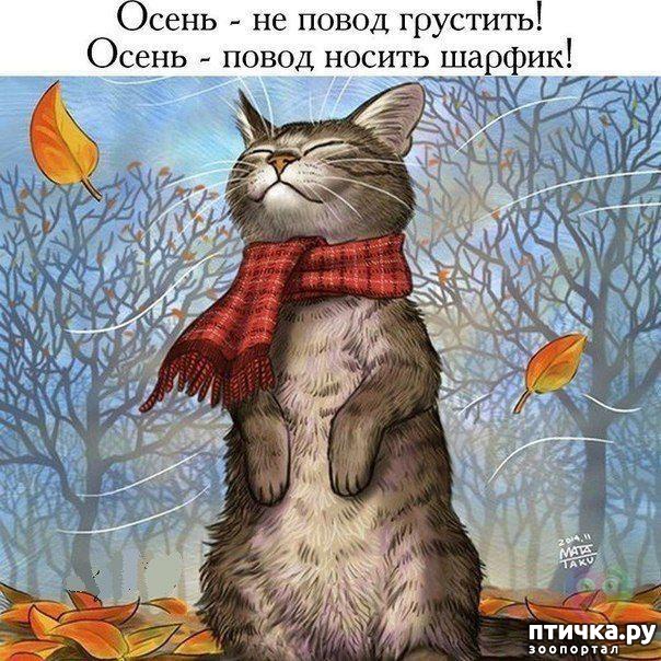 ���� 5: �����������: ����� �����!