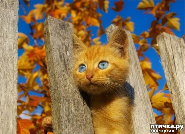 ���� 6: �����������: ����� �����!