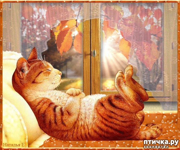 ���� 7: �����������: ����� �����!