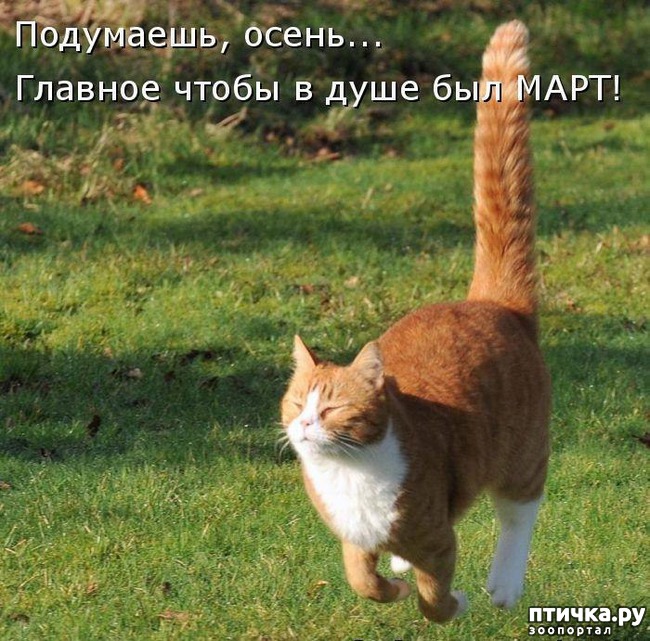 ���� 8: �����������: ����� �����!