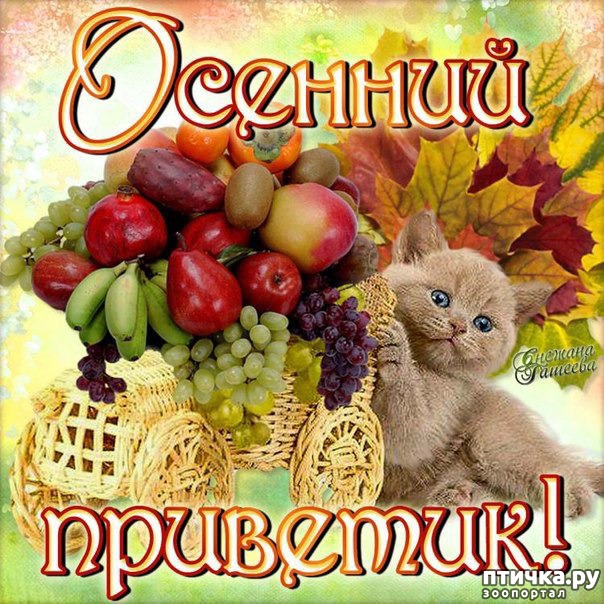 ���� 12: �����������: ����� �����!