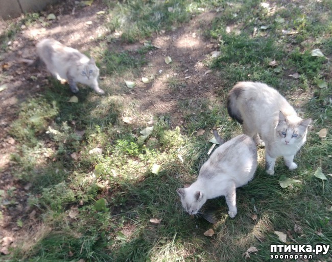 ���� 3: ������ � ��������.