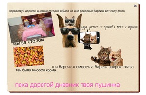 ����: ������� ����� �������. ������ � ������ ��������. ���� ��������