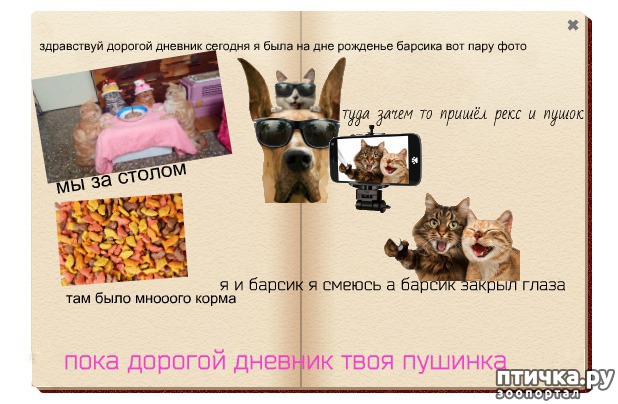 ���� 1: ������� ����� �������. ������ � ������ ��������. ���� ��������