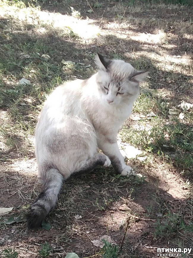 ���� 4: ������ � ��������.