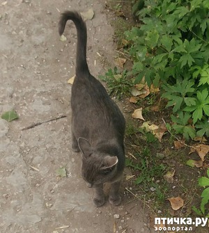 ����: ������ � ��������.