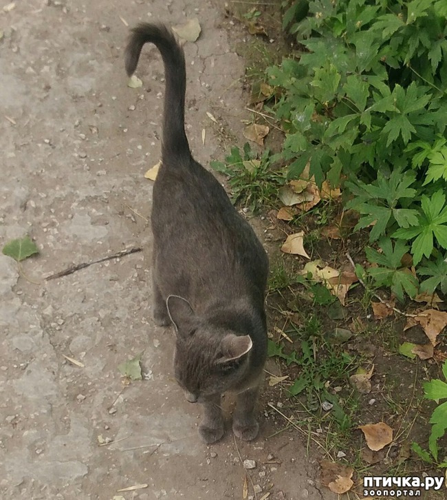 ���� 1: ������ � ��������.