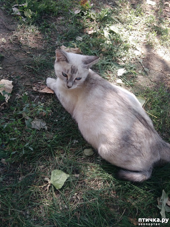 ���� 5: ������ � ��������.