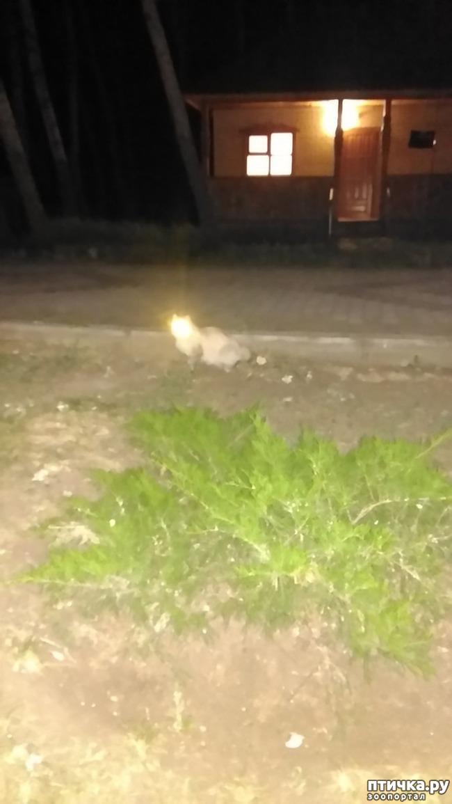 ���� 6: ������ � ��������.