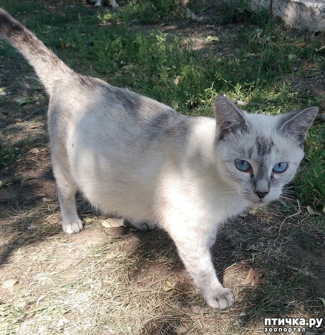 ���� 2: ������ � ��������.