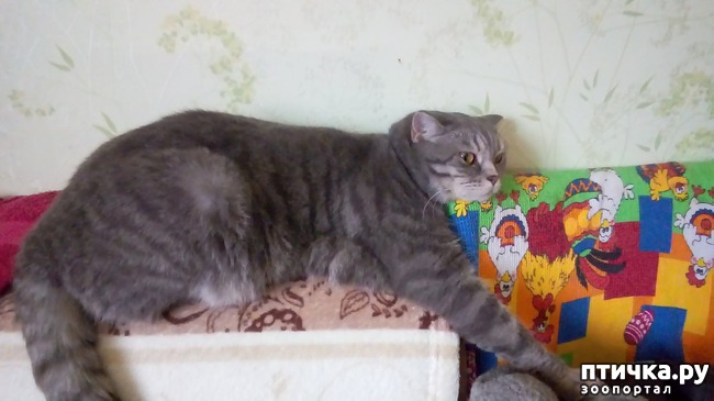 ���� 2: ������, ������ ���� �������