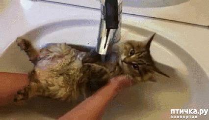 ���� 2: ����� ����� - 