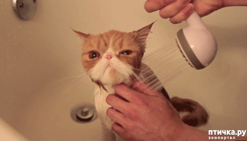 ���� 4: ����� ����� - 