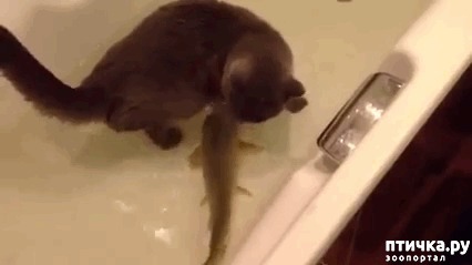 ���� 6: ����� ����� - 