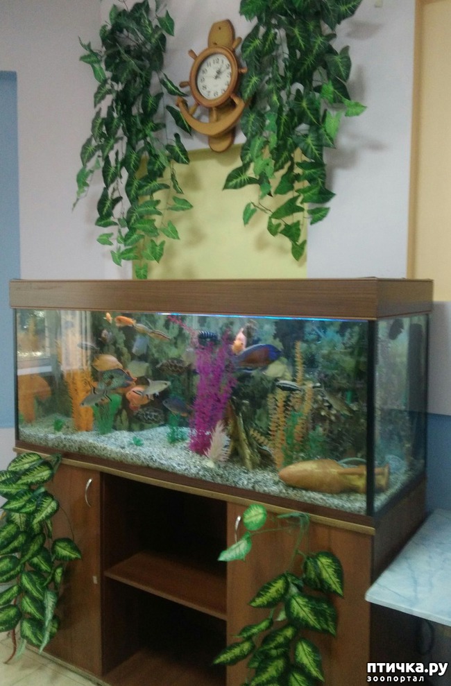 ���� 12: ������ � ��������.