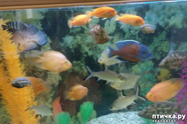 ���� 13: ������ � ��������.