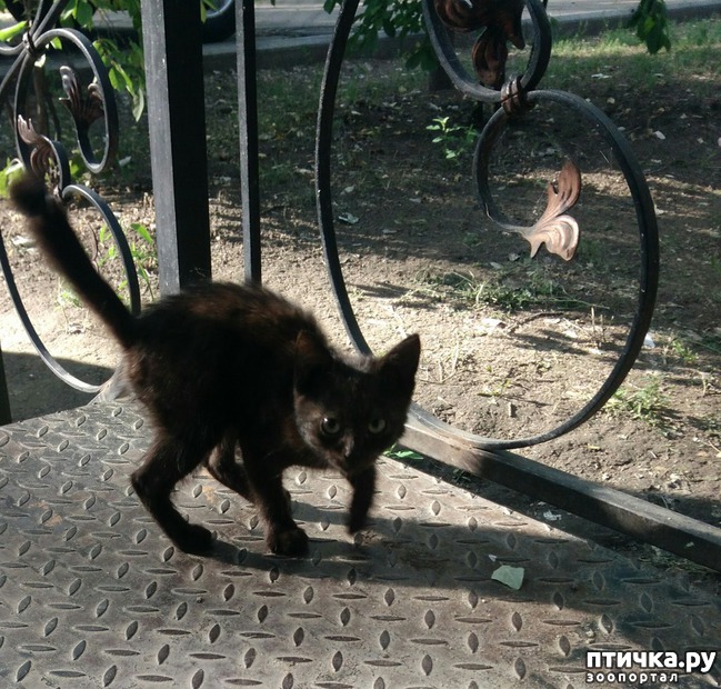 ���� 14: ������ � ��������.