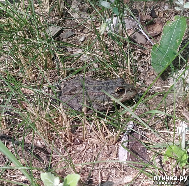 ���� 7: ������ � ��������.