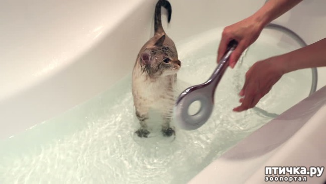 ���� 3: ����� ����� - 