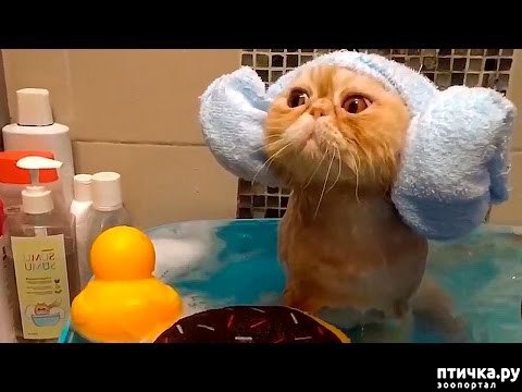 ���� 5: ����� ����� - 