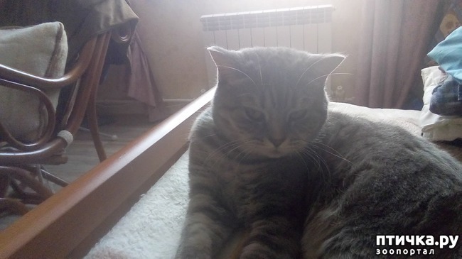 ���� 1: ������, ������ ���� �������