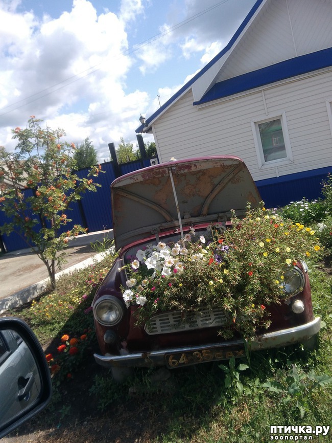 ���� 15: ������ � ��������.