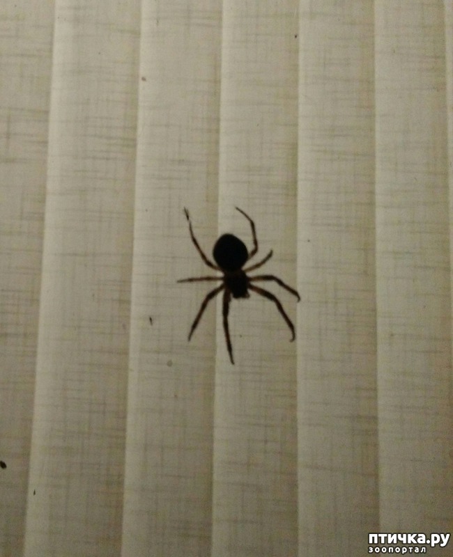 ���� 8: ������ � ��������.