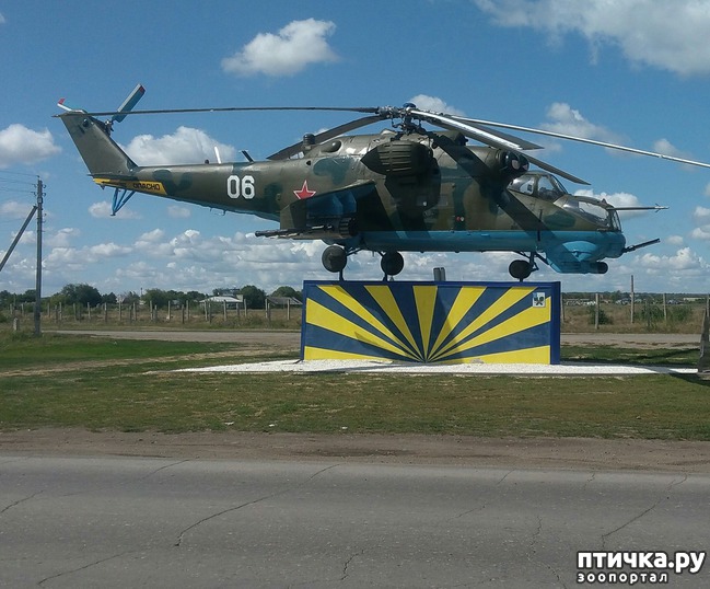 ���� 16: ������ � ��������.