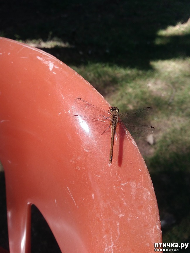 ���� 9: ������ � ��������.