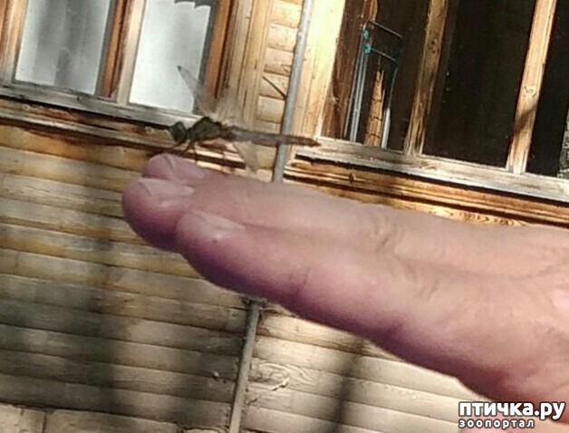 ���� 10: ������ � ��������.