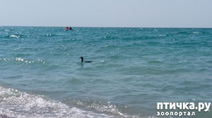 ����: ������ � ����!