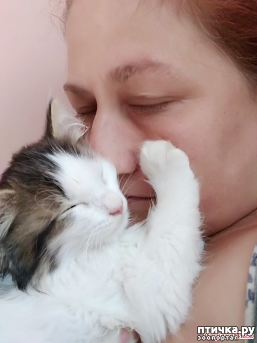 фотография 10: Утро нового дня, или где-то тихо рыдает психиатр, часть 2 фото 10: Утро нового дня, или где-то тихо рыдает психиатр, часть 2