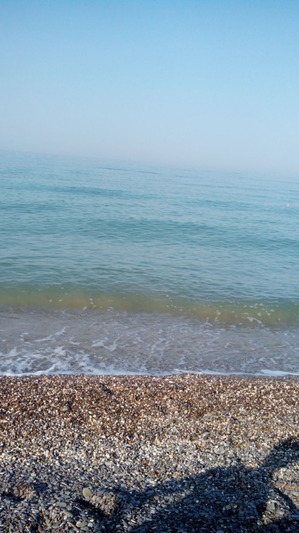 ����: ��������� ���� ����