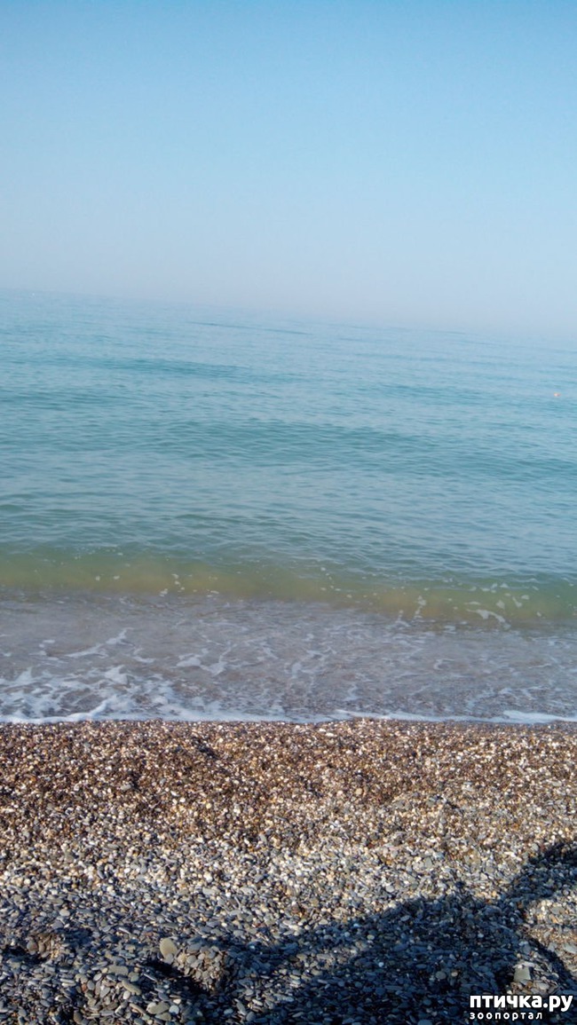 ���� 1: ��������� ���� ����