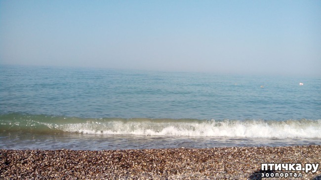 ���� 2: ��������� ���� ����