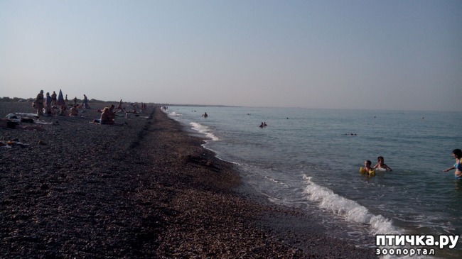 ���� 3: ��������� ���� ����