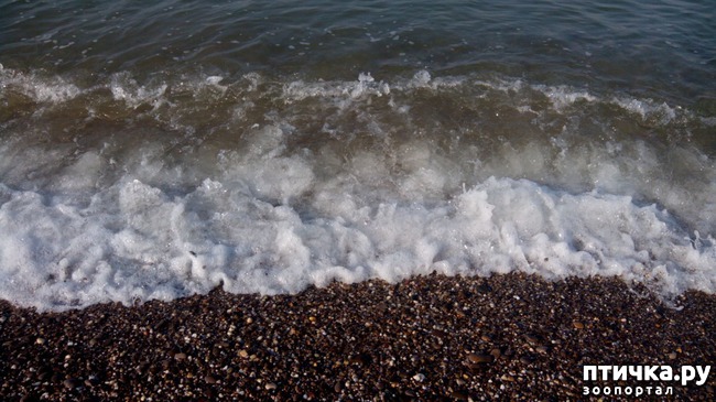 ���� 4: ��������� ���� ����