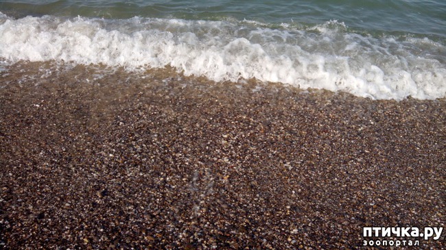 ���� 5: ��������� ���� ����