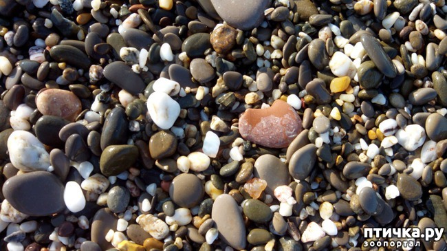 ���� 6: ��������� ���� ����