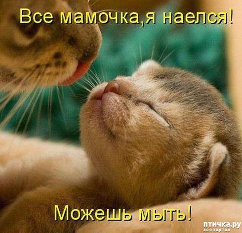 ���� 1: �����������: ���� � ����!