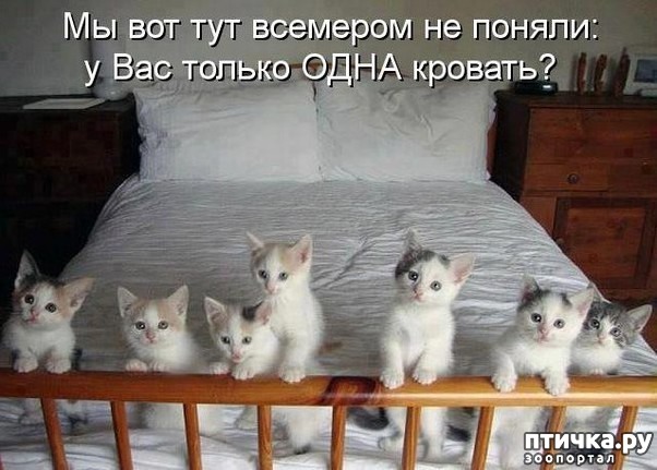 ���� 2: �����������: ���� � ����!