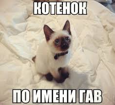 ���� 4: �����������: ���� � ����!