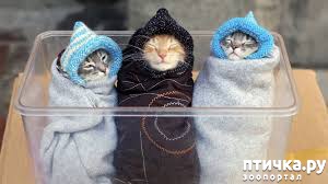 ���� 5: �����������: ���� � ����!