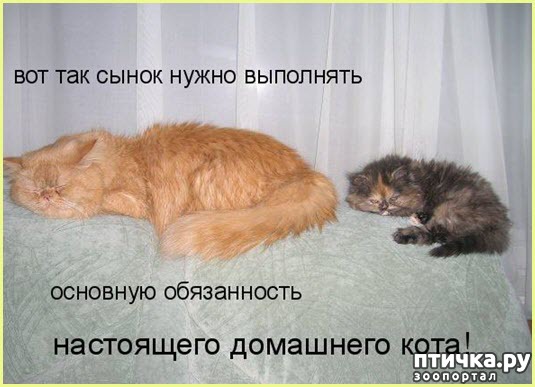 ���� 7: �����������: ���� � ����!