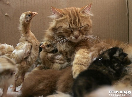 ���� 13: �����������: ���� � ����!