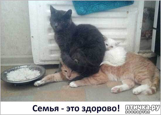 ���� 14: �����������: ���� � ����!