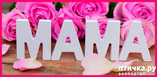 ���� 15: �����������: ���� � ����!