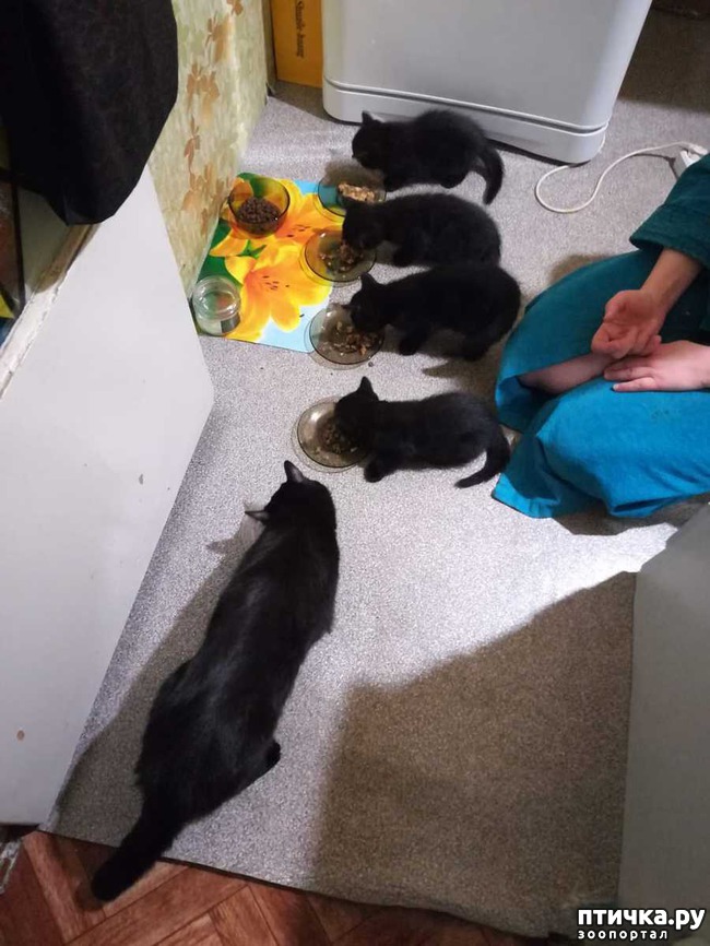 ���� 2: �� ��� ����� �������!